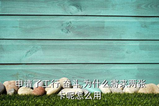  申请了工行 奋斗,为什么寄来两张卡呢怎么用