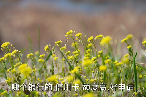 哪个银行的 信用卡 额度高,好申请