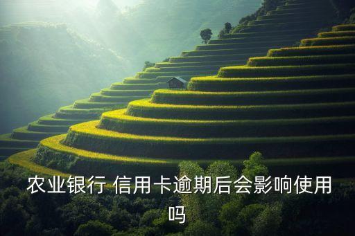 农业信用卡分期了还可以超,为什么农业信用卡不能分期