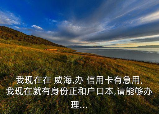 我现在在 威海,办 信用卡有急用,我现在就有身份正和户口本,请能够办理...