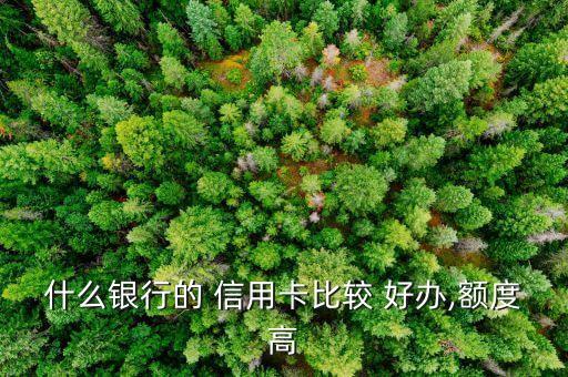 什么银行的 信用卡比较 好办,额度高