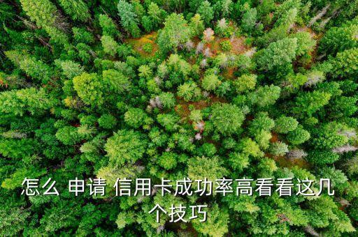 怎么 申请 信用卡成功率高看看这几个技巧