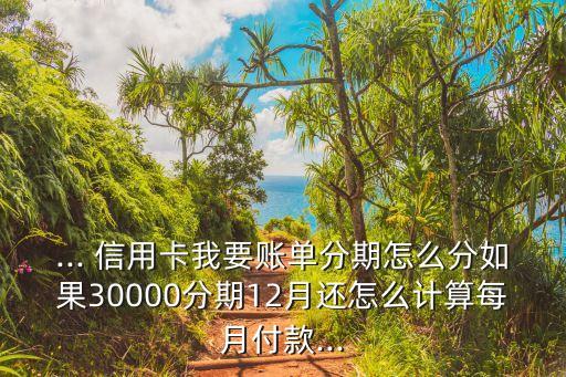 ... 信用卡我要账单分期怎么分如果30000分期12月还怎么计算每月付款...