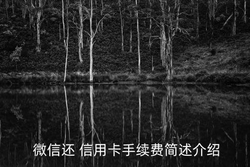  微信还 信用卡手续费简述介绍