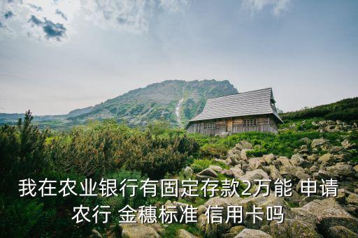 我在农业银行有固定存款2万能 申请农行 金穗标准 信用卡吗