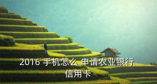 2016 手机怎么 申请农业银行 信用卡