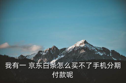 我有一 京东白条怎么买不了手机分期付款呢