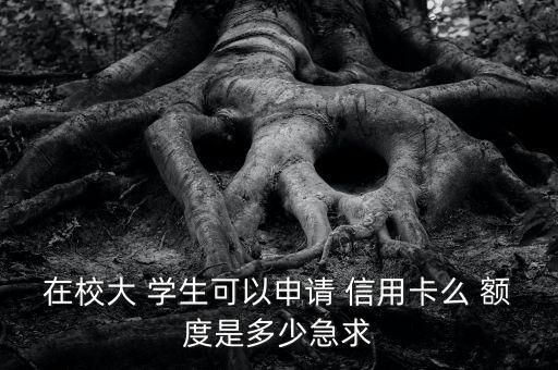 航空信用卡学生有额度吗,招商银行学生信用卡额度一般是多少