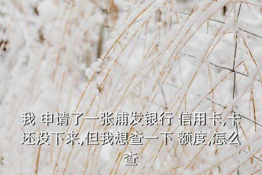 我 申请了一张浦发银行 信用卡,卡还没下来,但我想查一下 额度,怎么查