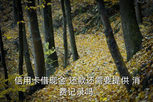 信用卡还款算消费凭证吗,在信用卡还款日当天消费怎么算