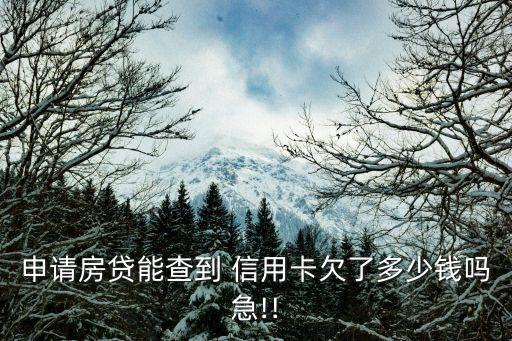 贷款需要查信用卡总额度吗,贷款是不是需要信用卡