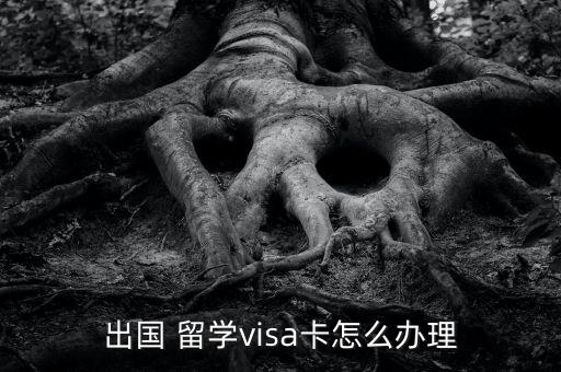 出国 留学visa卡怎么办理