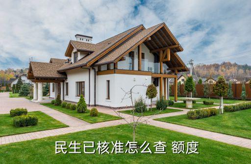  民生已核准怎么查 额度