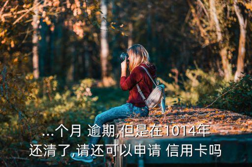 ...个月 逾期,但是在1014年还清了,请还可以申请 信用卡吗