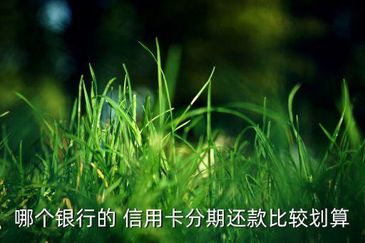 哪个银行的 信用卡分期还款比较划算