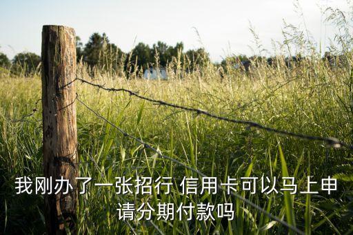 我刚办了一张招行 信用卡可以马上申请分期付款吗