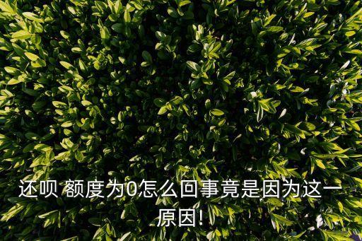 信用卡额度0无法代还
