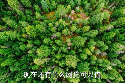 现在还有什么网贷可以借