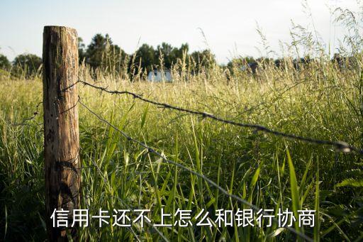  信用卡还不上怎么和银行协商