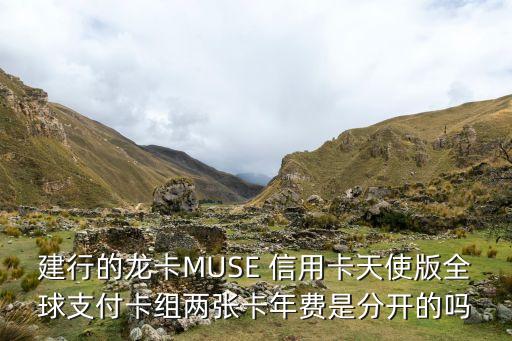 建设银行信用卡鎏金版,千万别办建设银行信用卡