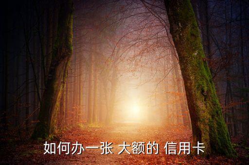 如何办一张 大额的 信用卡