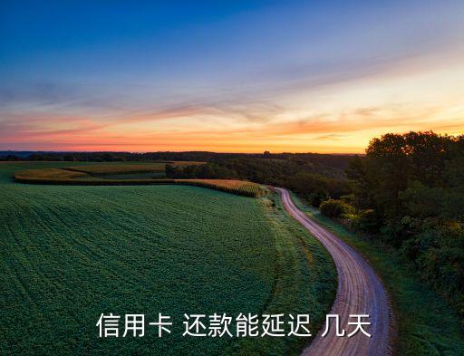  信用卡 还款能延迟 几天
