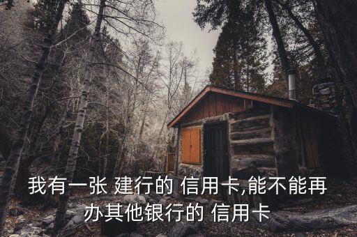 我有一张 建行的 信用卡,能不能再办其他银行的 信用卡