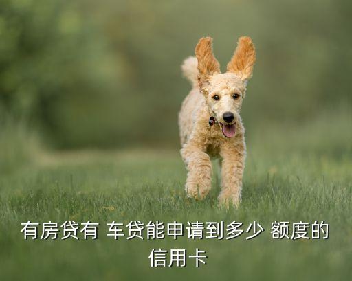 有房贷有 车贷能申请到多少 额度的 信用卡