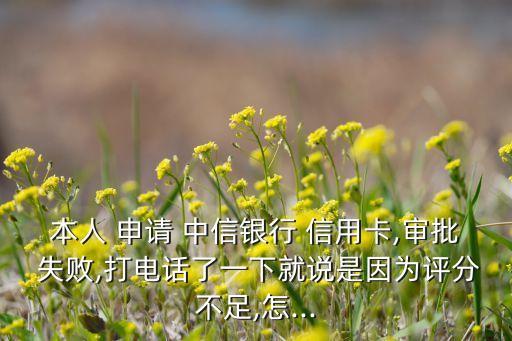 本人 申请 中信银行 信用卡,审批 失败,打电话了一下就说是因为评分不足,怎...