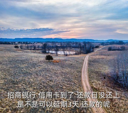 招商银行 信用卡到了 还款日没还上是不是可以延期3天 还款的呢