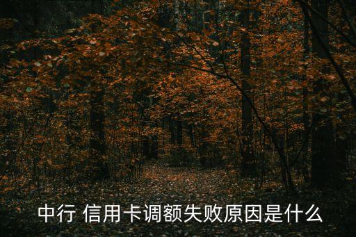  中行 信用卡调额失败原因是什么