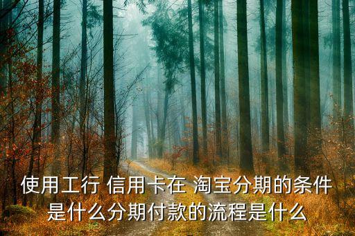 使用工行 信用卡在 淘宝分期的条件是什么分期付款的流程是什么