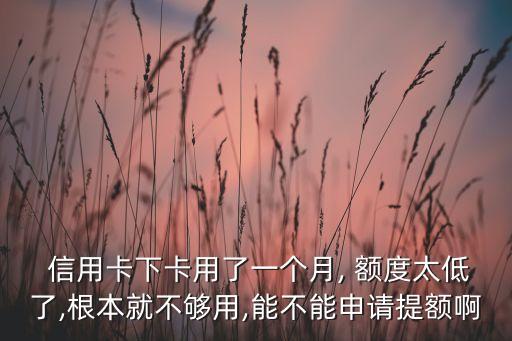  信用卡下卡用了一个月, 额度太低了,根本就不够用,能不能申请提额啊