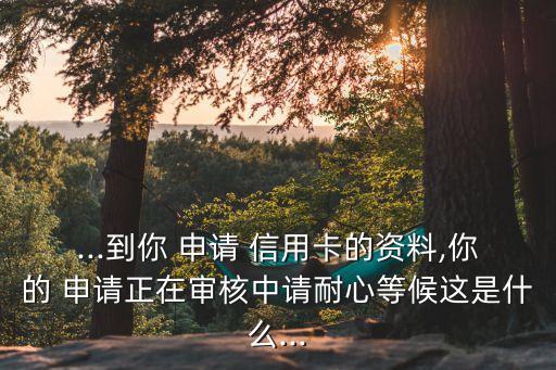 ...到你 申请 信用卡的资料,你的 申请正在审核中请耐心等候这是什么...