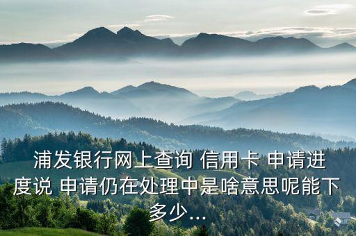  浦发银行网上查询 信用卡 申请进度说 申请仍在处理中是啥意思呢能下多少...