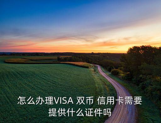 双币信用卡申请子卡,visa双币信用卡申请