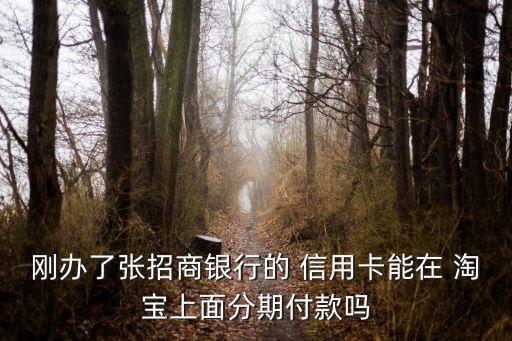 淘宝分期暂不支持信用卡
