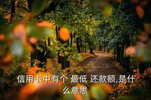 信用卡的最低还款什么意思,逾期多久会被列入失信人名单