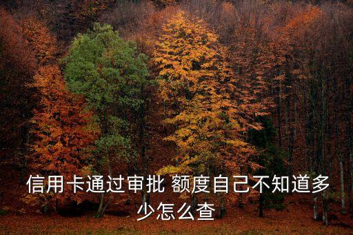  信用卡通过审批 额度自己不知道多少怎么查