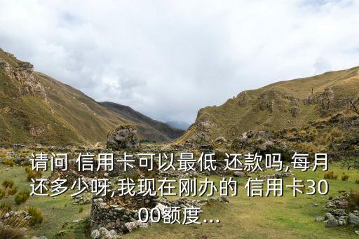 请问 信用卡可以最低 还款吗,每月还多少呀,我现在刚办的 信用卡3000额度...