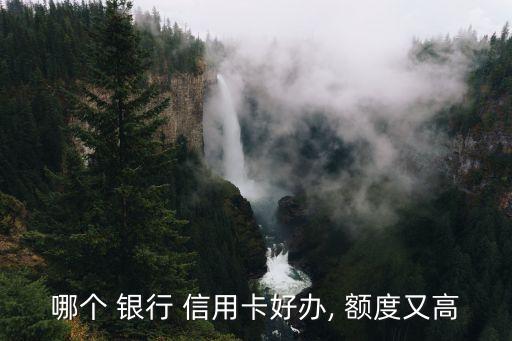 哪个 银行 信用卡好办, 额度又高