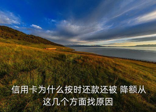  信用卡为什么按时还款还被 降额从这几个方面找原因