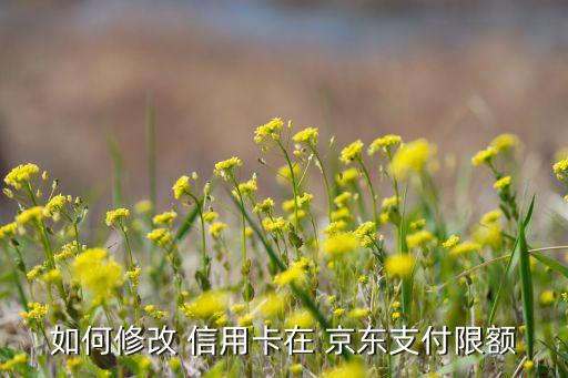 天府银行京东信用卡额度,中原银行京东联名信用卡最高额度是多少