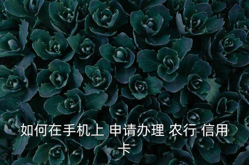 如何在手机上 申请办理 农行 信用卡
