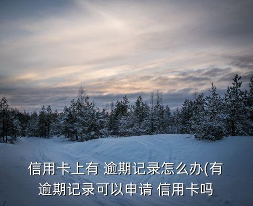  信用卡上有 逾期记录怎么办(有 逾期记录可以申请 信用卡吗