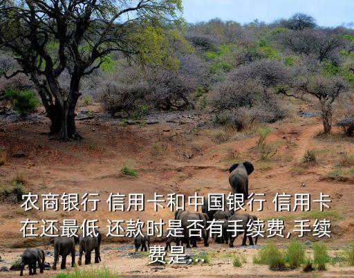 农商银行 信用卡和中国银行 信用卡在还最低 还款时是否有手续费,手续费是...