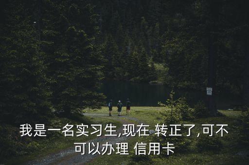 我是一名实习生,现在 转正了,可不可以办理 信用卡