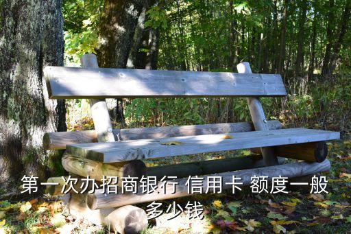 第一次办招商银行 信用卡 额度一般多少钱