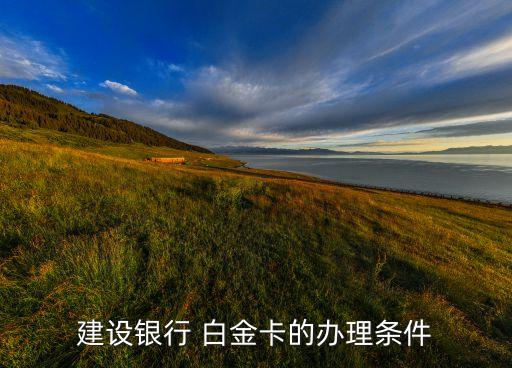 建设银行 白金卡的办理条件
