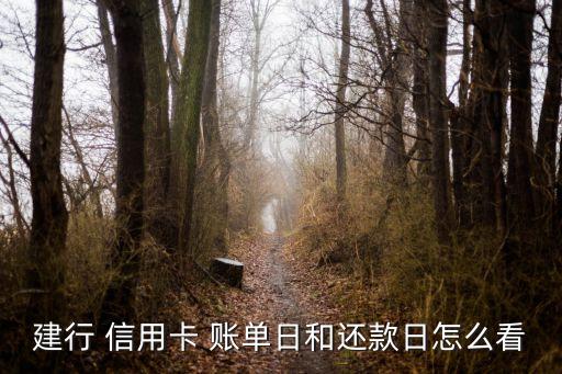 建行 信用卡 账单日和还款日怎么看